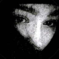 arven83