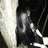 awawqeqd